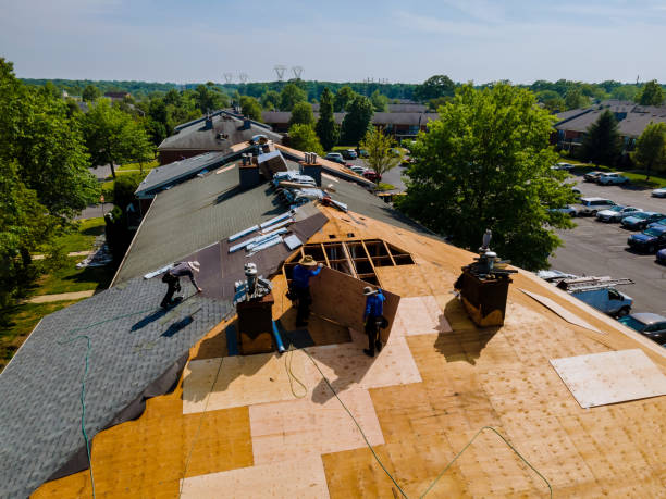 24/7 Emergency Roof Replacement experts in Wynot, NE